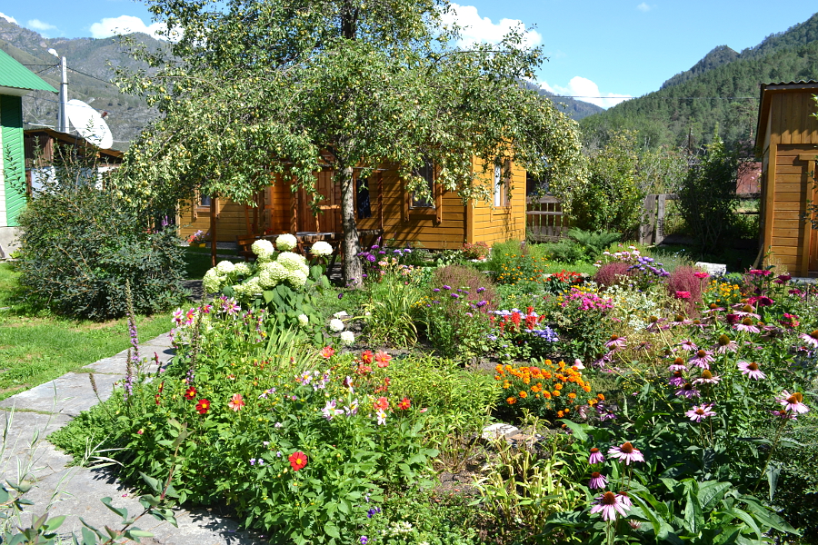 Цветы около 5-ти местного дома