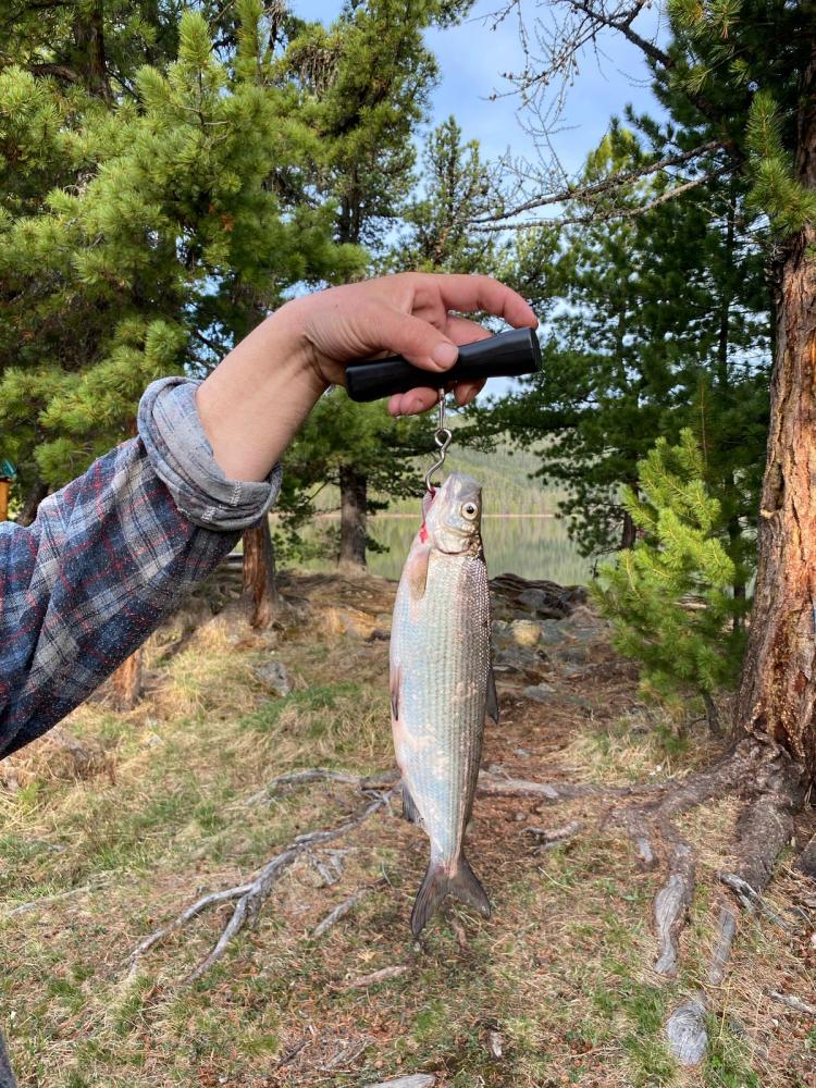 Рыбалка на озере Игисту-Кель