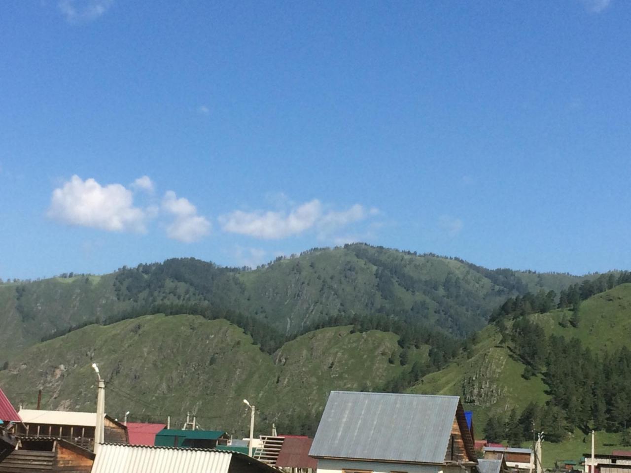 Вид с территории на алтайские горы