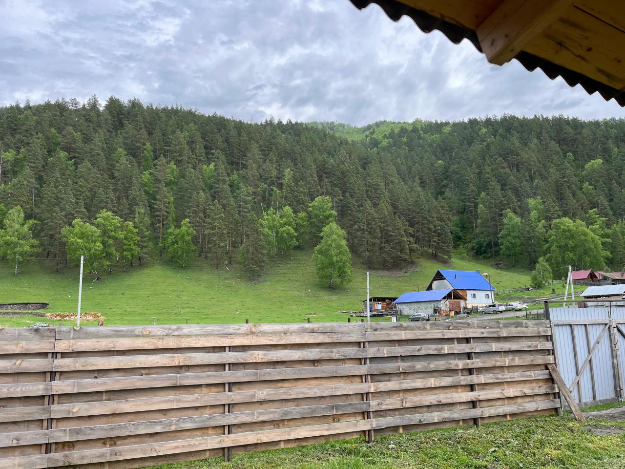 Отдых в горах Алтая