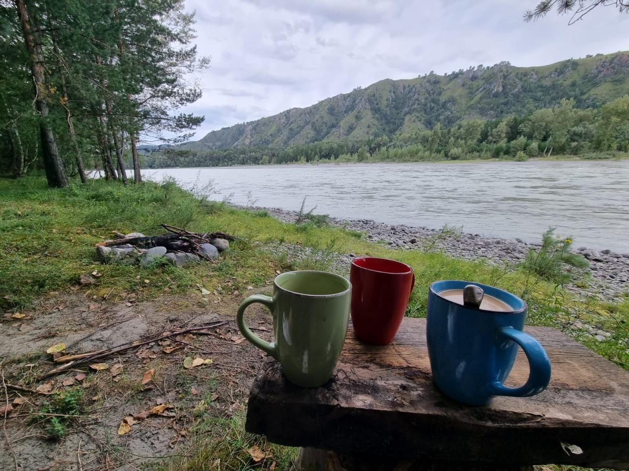 Берег Катуни возле зеленого дома "Коза" в Черемшанке