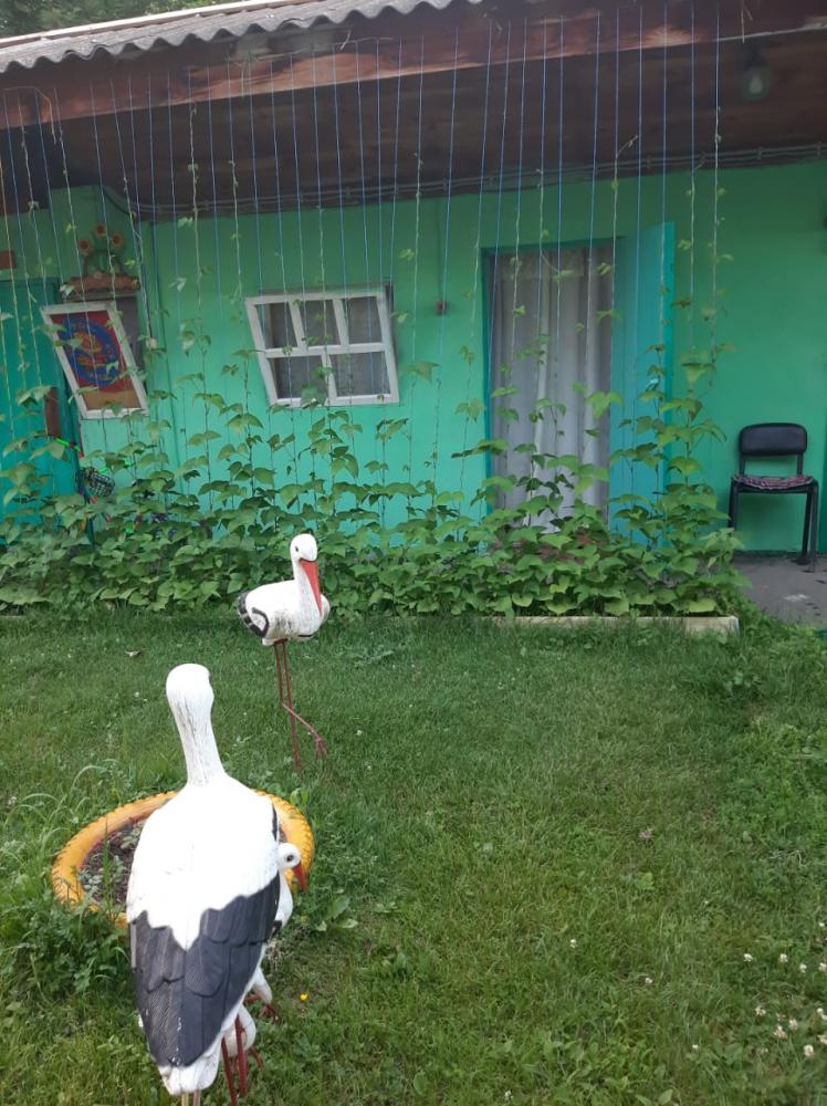 Комната на 3-х человек за 1500 р.