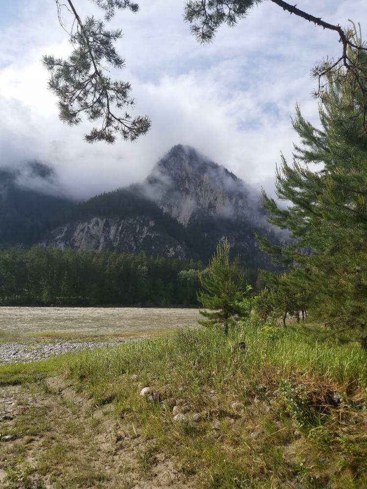 База "Хвойный берег", виды