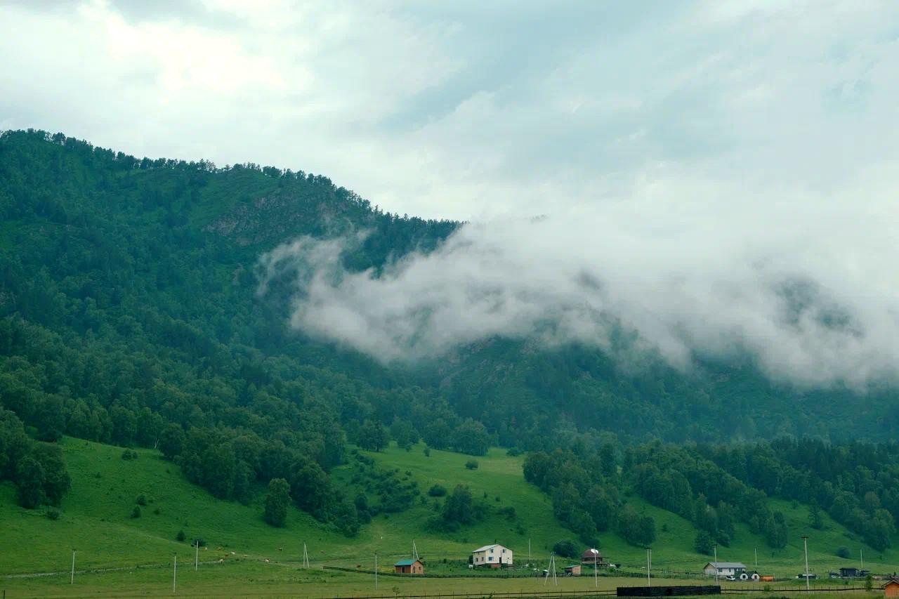 База отдыха "Алтай Люкс" недалеко от Чемала в селе Аюла
