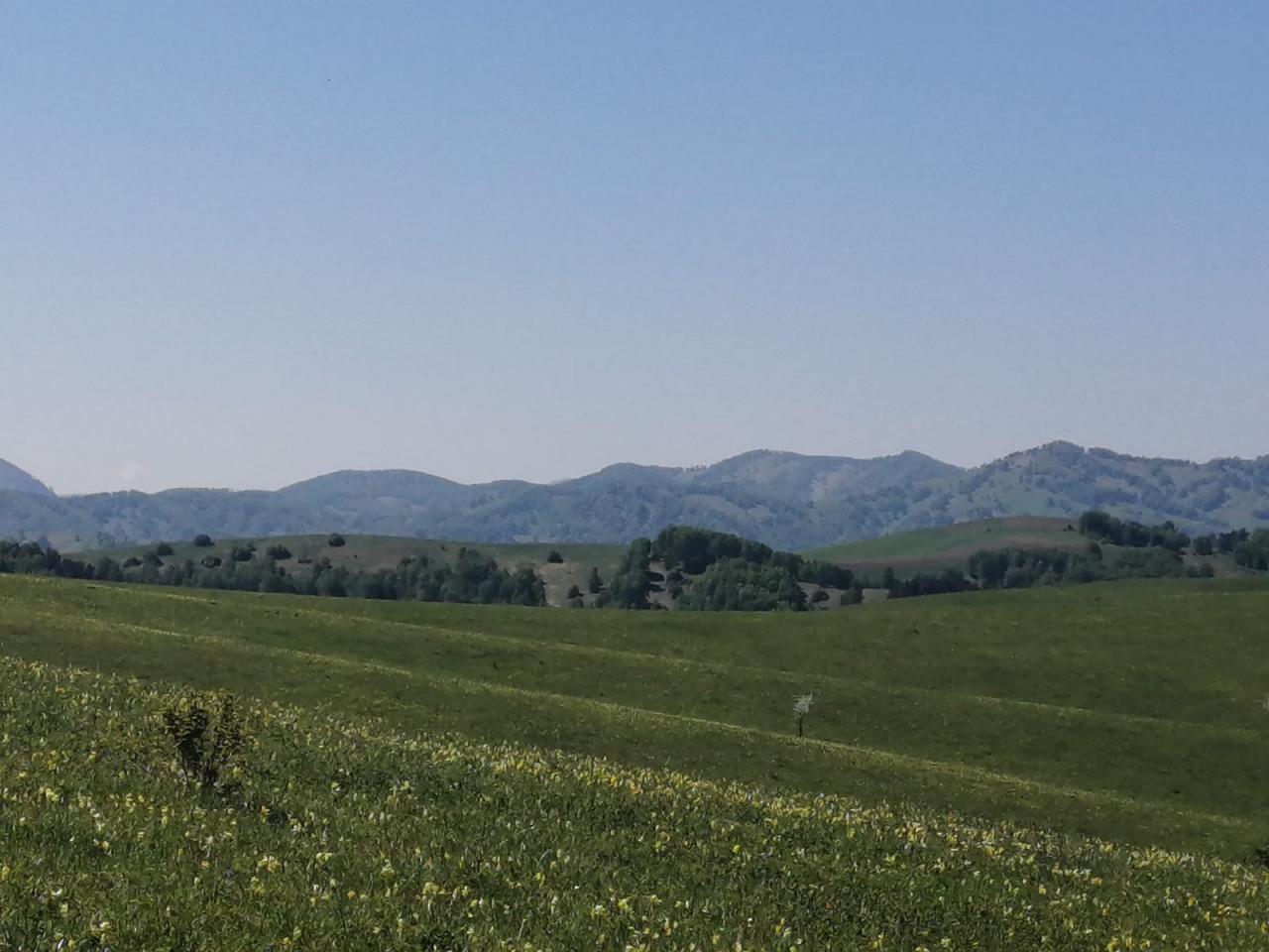 Окрестности озера Ая прогулки по холмогорью