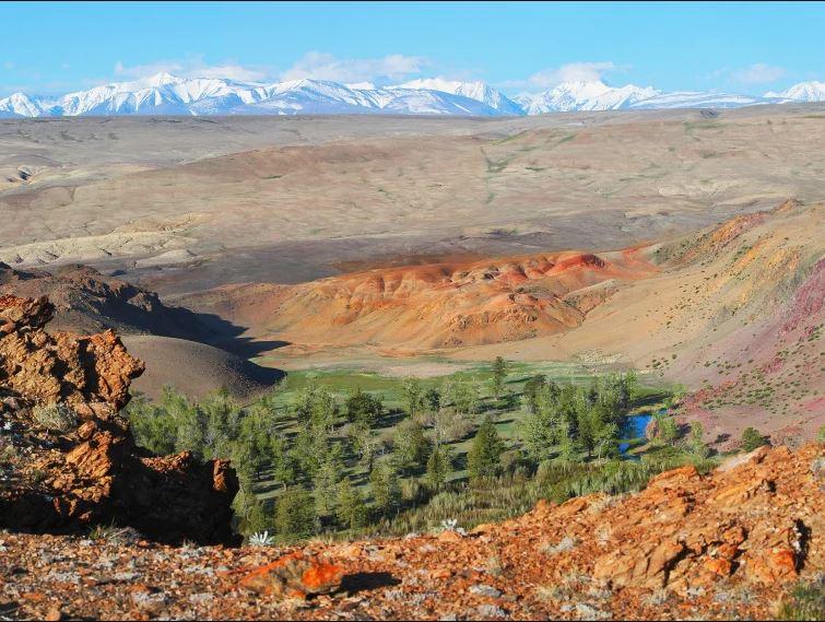 Экскурсия из Акташа на Красную горку в Горном Алтае