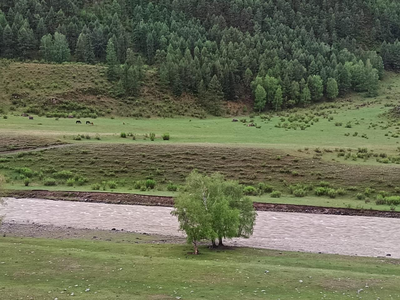 Отдых в Акташе и Чибите у реки Чуя в Республике Алтай