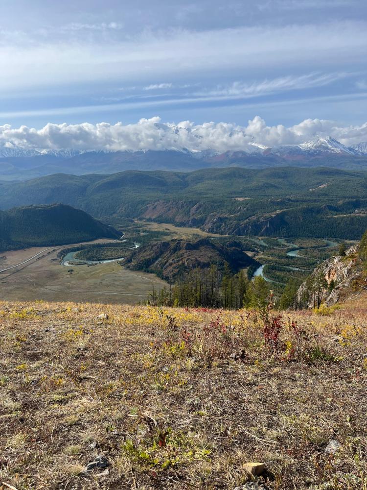 Интересные туры по России на Алтай 2025