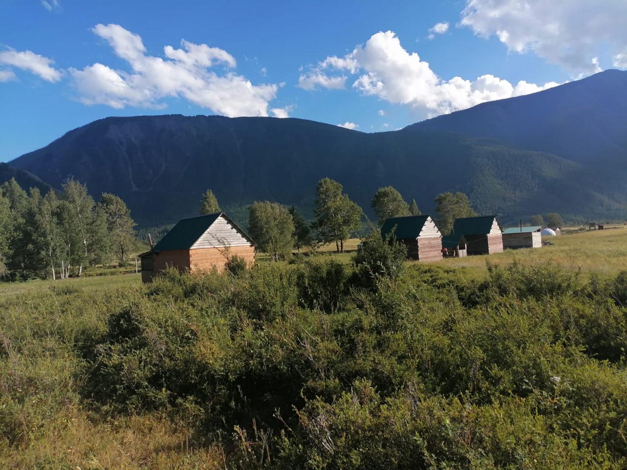 База отдыха "Горная речка" на Алтае Чибит Акташ