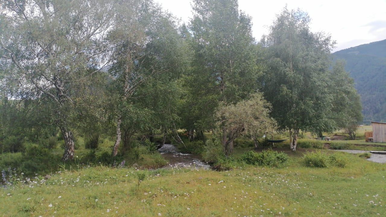 Кемпинг "Горная речка" на Алтае у реки в Акташе и Чибите 