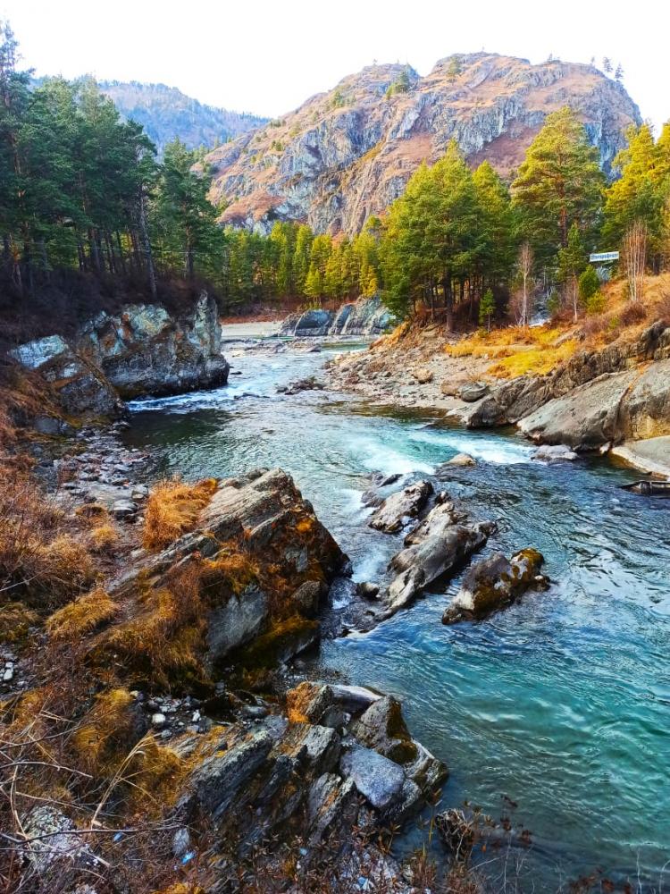 Тур в Горный Алтай из Горно-Алтайска