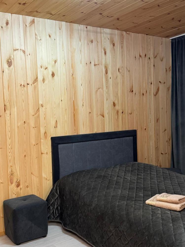 Номер благоустроенный с двуспальной кроватью и диваном