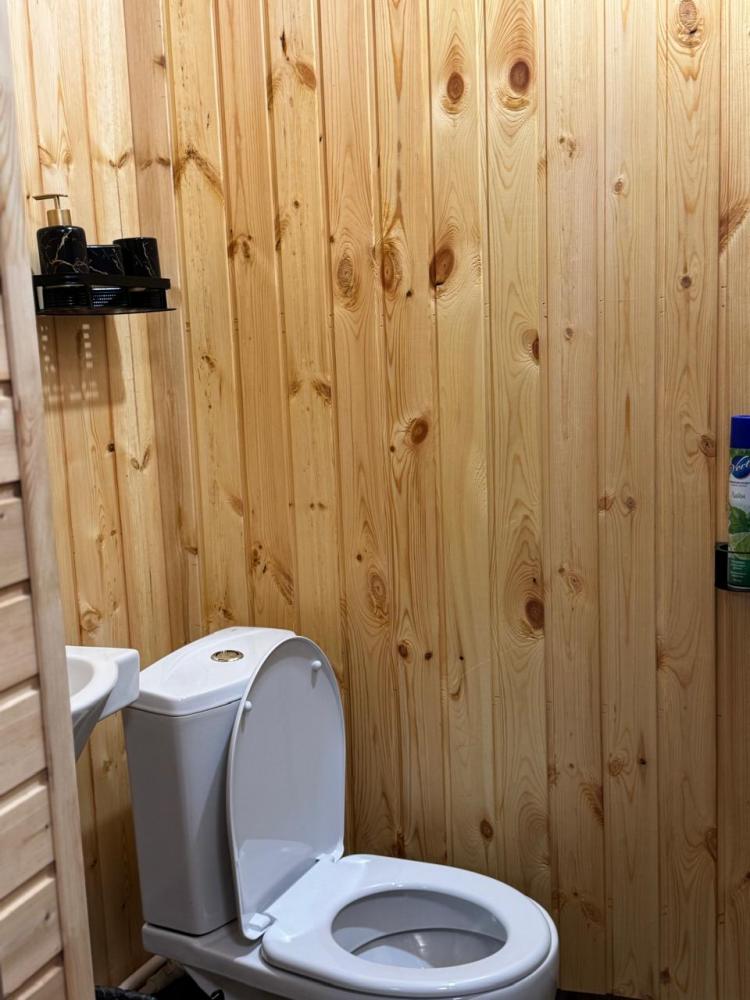 Номер благоустроенный с двуспальной кроватью и диваном