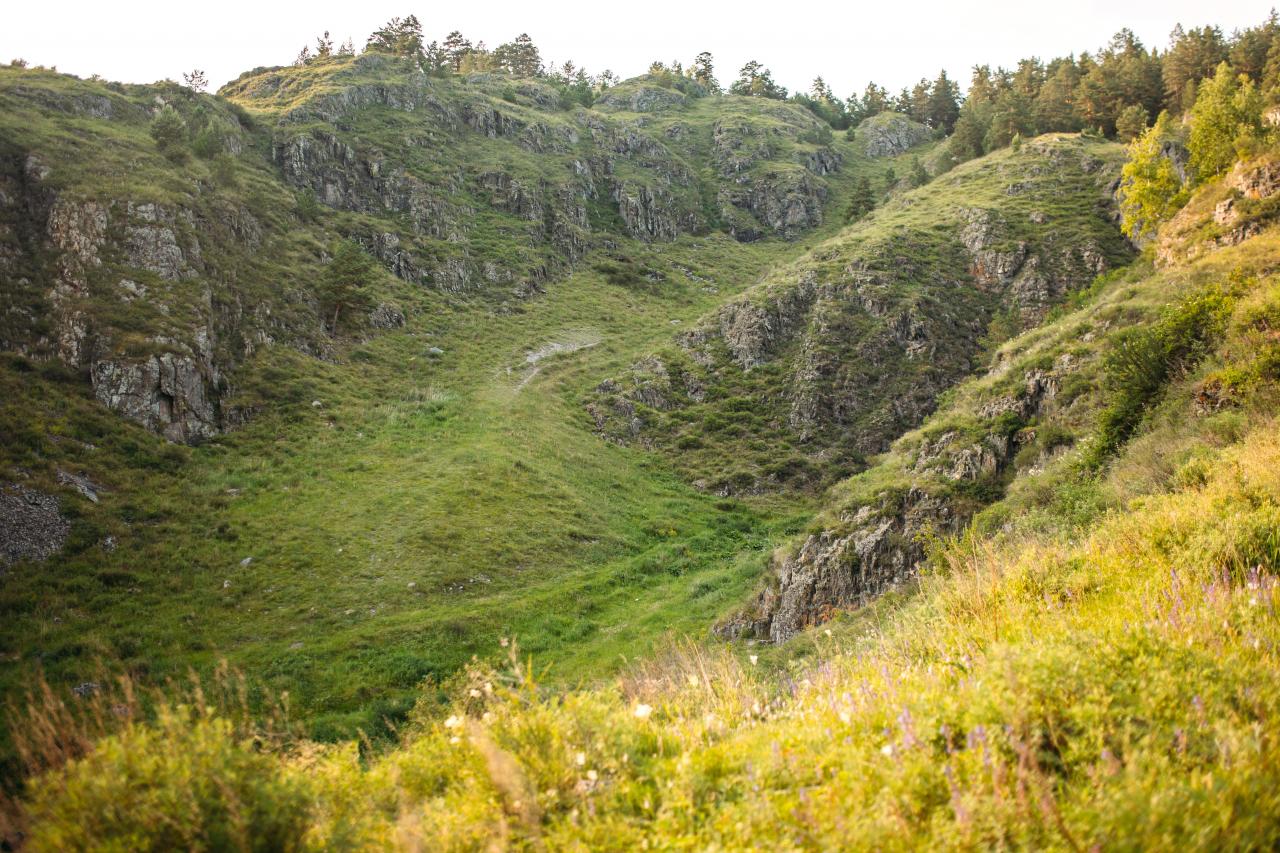 Территория_1