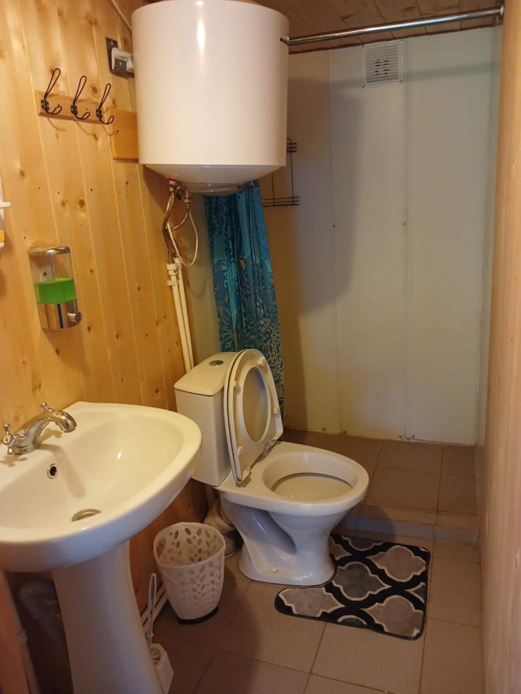 Санузел с душем в номере