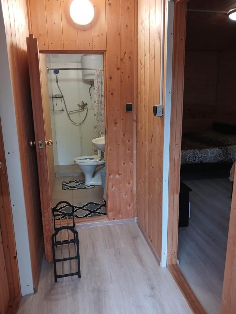 Санузел и душ в номере