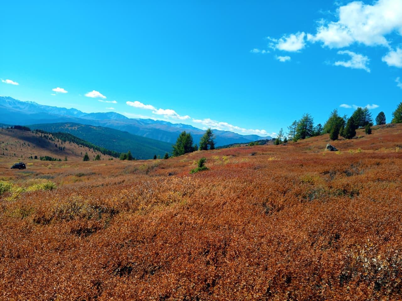 Увлекательный тур из Акташа по Алтаю