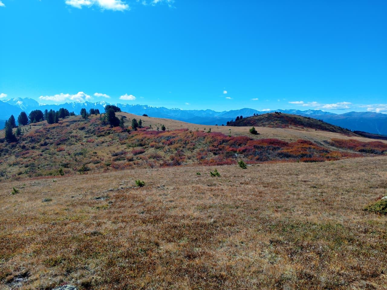 Экскурсии из Акташа по Горному Алтаю к Улаганском озерам