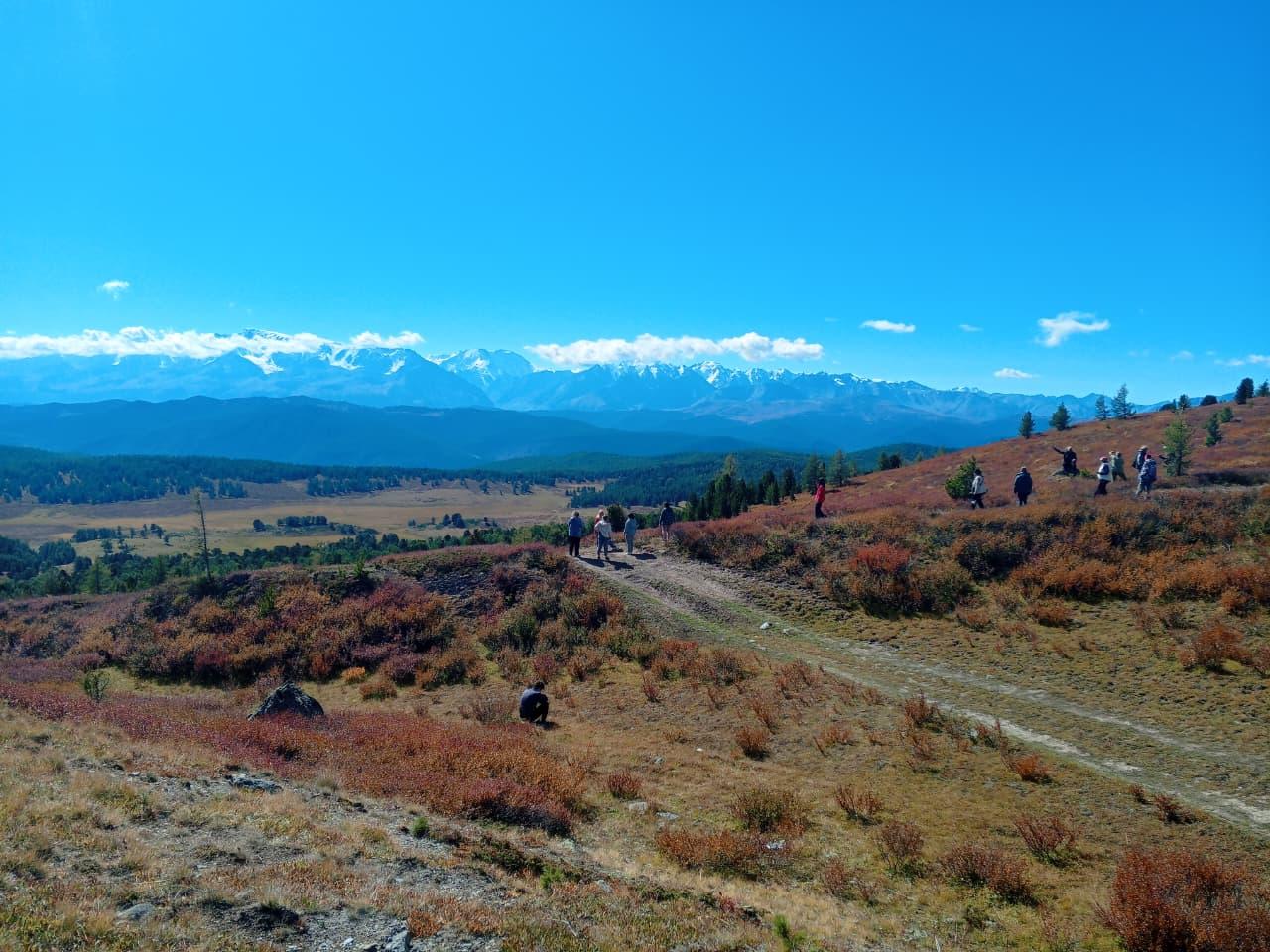 Трансфер из Акташа по Алтаю вид на Актру