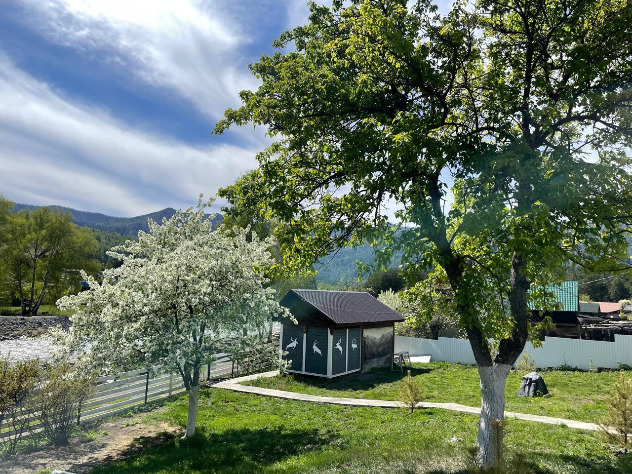 Общая беседка у реки Чемал 