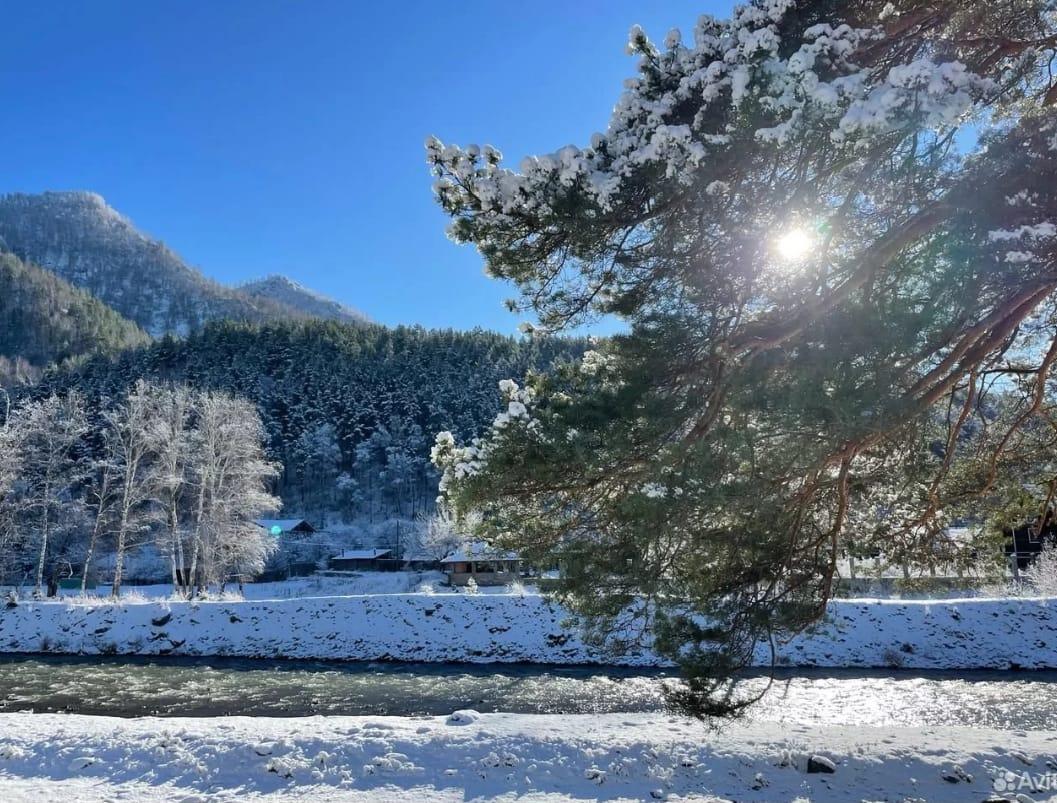 Отдых зимой в Чемале на Алтае