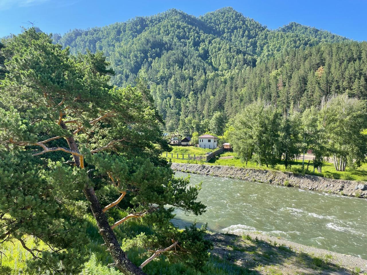 Отдых в Горном Алтае у реки Чемал