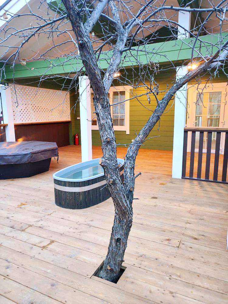 Гостевой дом Саптан в Горном Алтае в Усть-Коксе