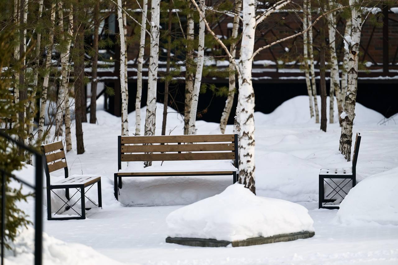 Отдых на Алтае в лесу 
