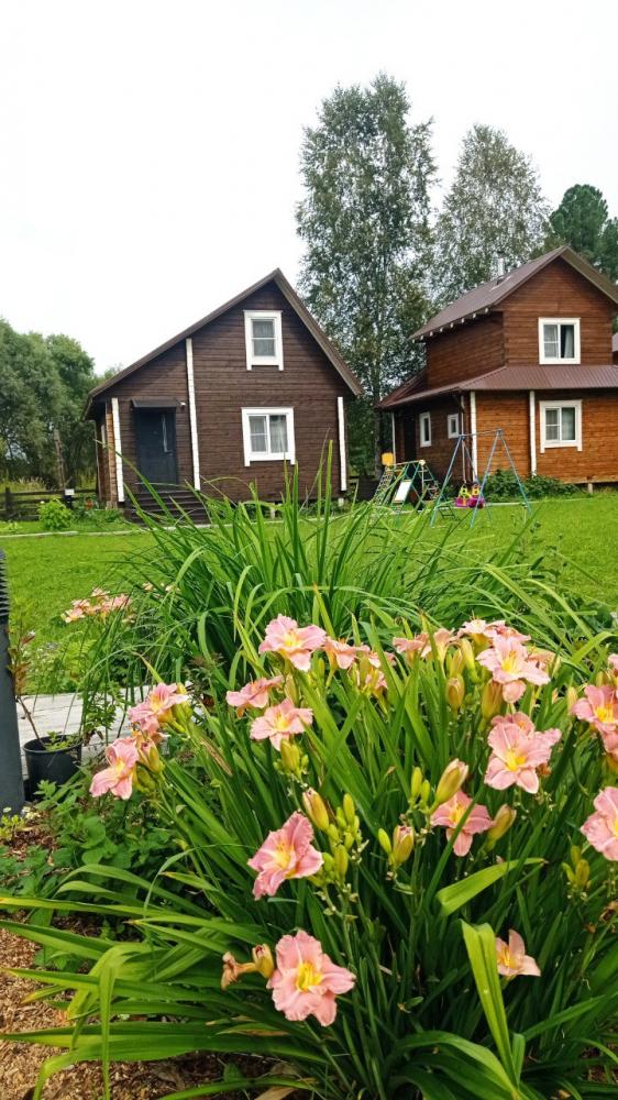 База отдыха на Алтае "Агроусадьба Тайга" летом