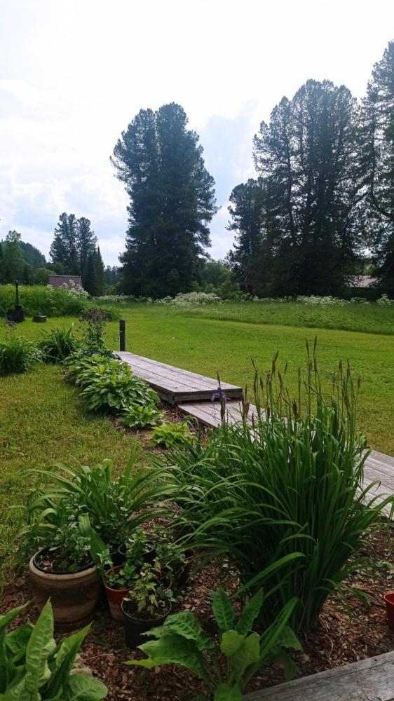 Ретрит центр на Алтае "Агроусадьба Тайга" летом