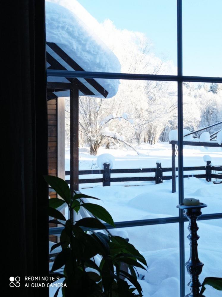 Отдых зимой на Алтае