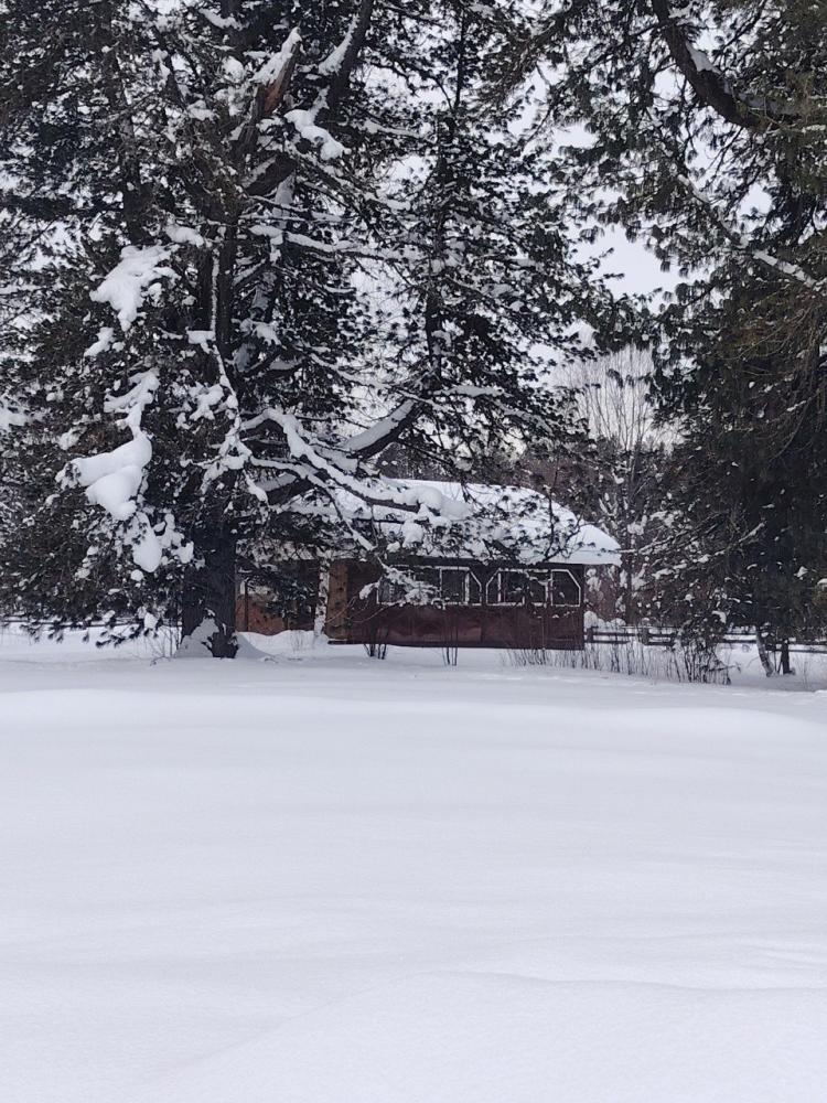 Ретрит на Алтае зимние туры