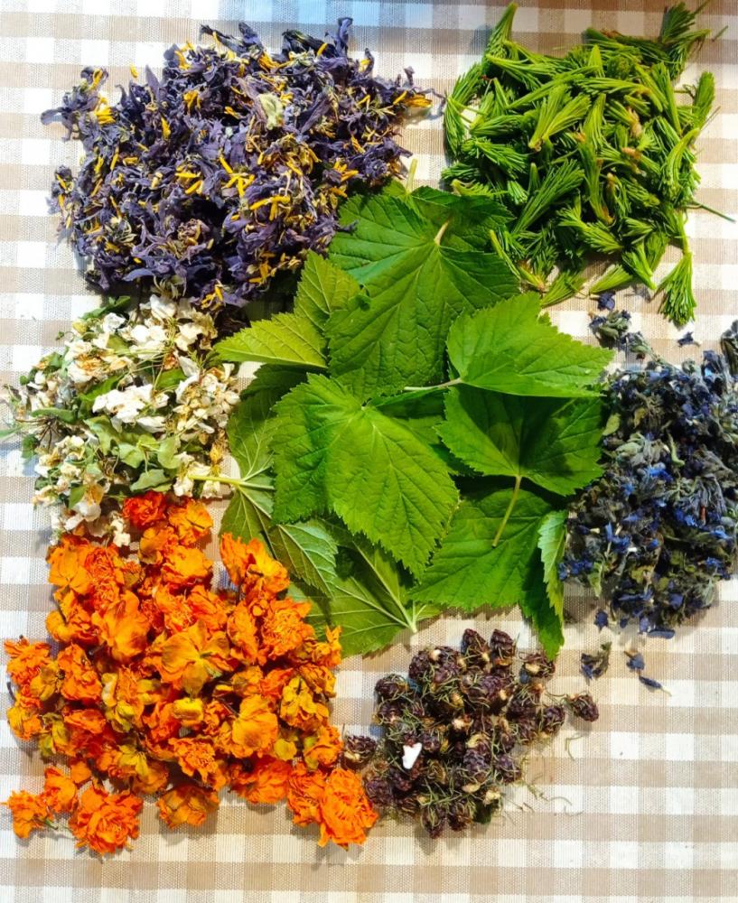 Целебные травы Алтая и травяные чаи