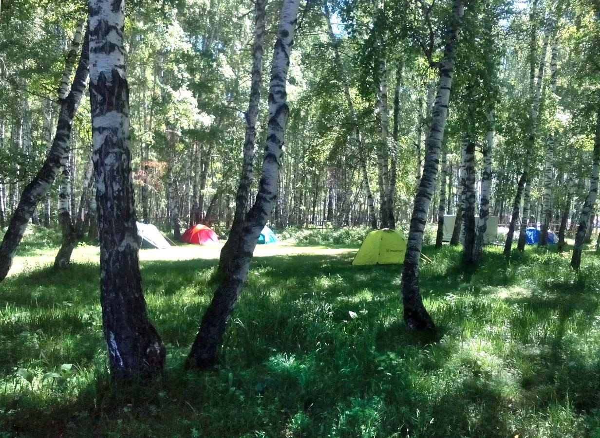 Поляна с палатками