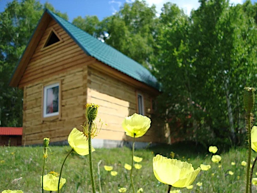 Благоустроенный дом