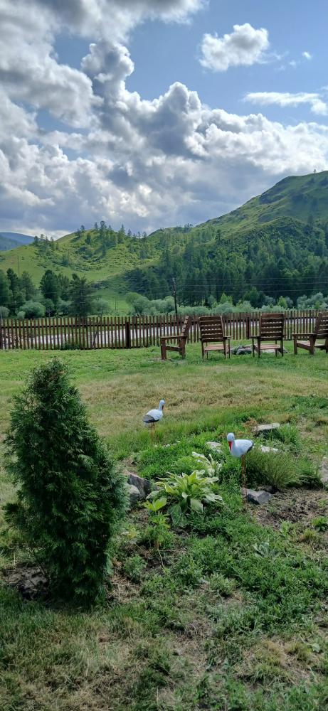 Вид от усадьбы