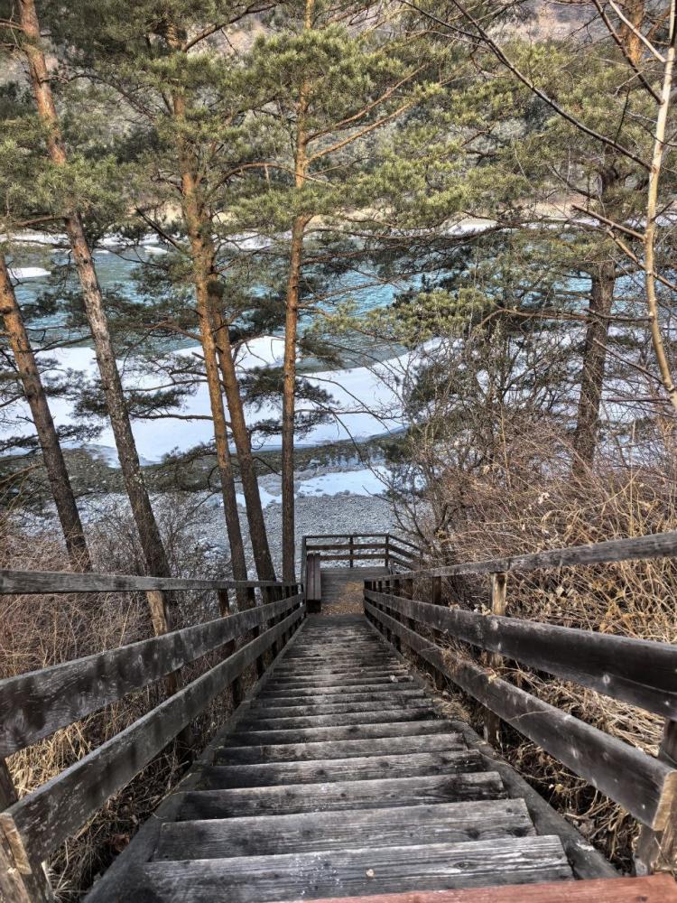 Тур из Новосибирска на Алтай 3 дня в Чемале