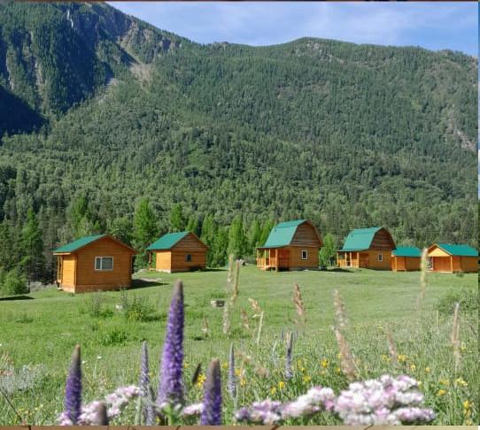 База отдыха Алтай-Бака