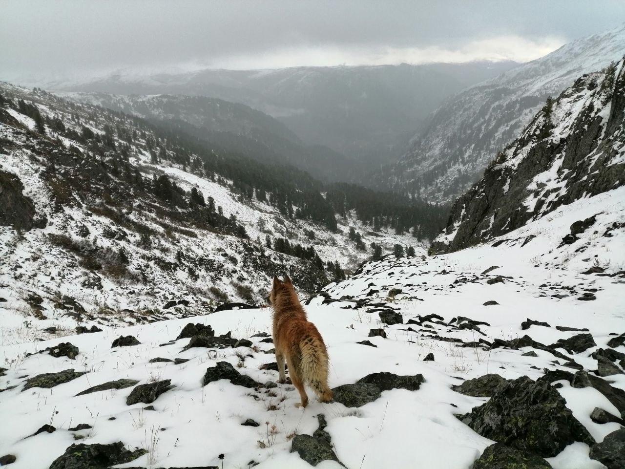 Индивидуальные туры на Алтай 