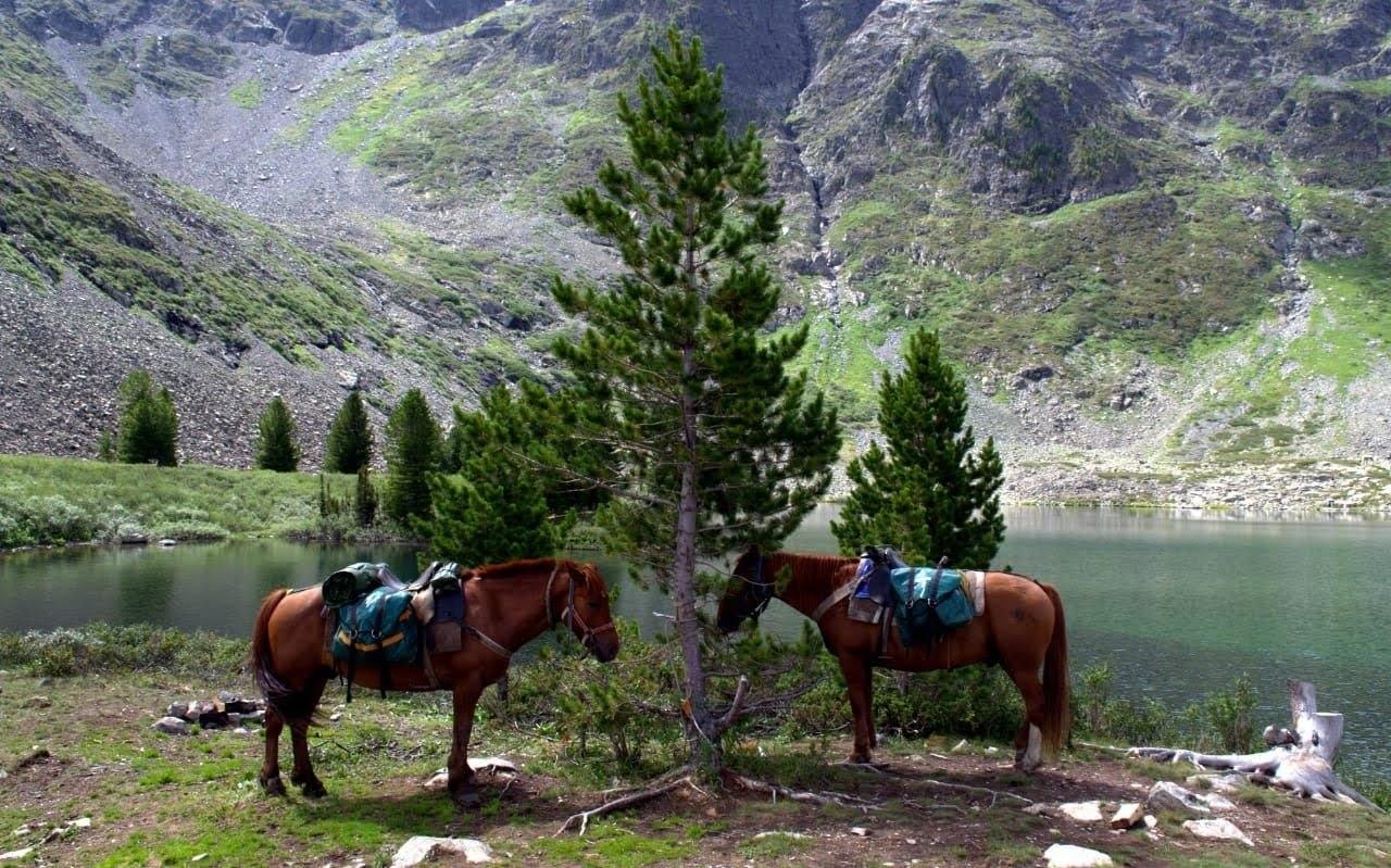 Конные туры на озеро Манас