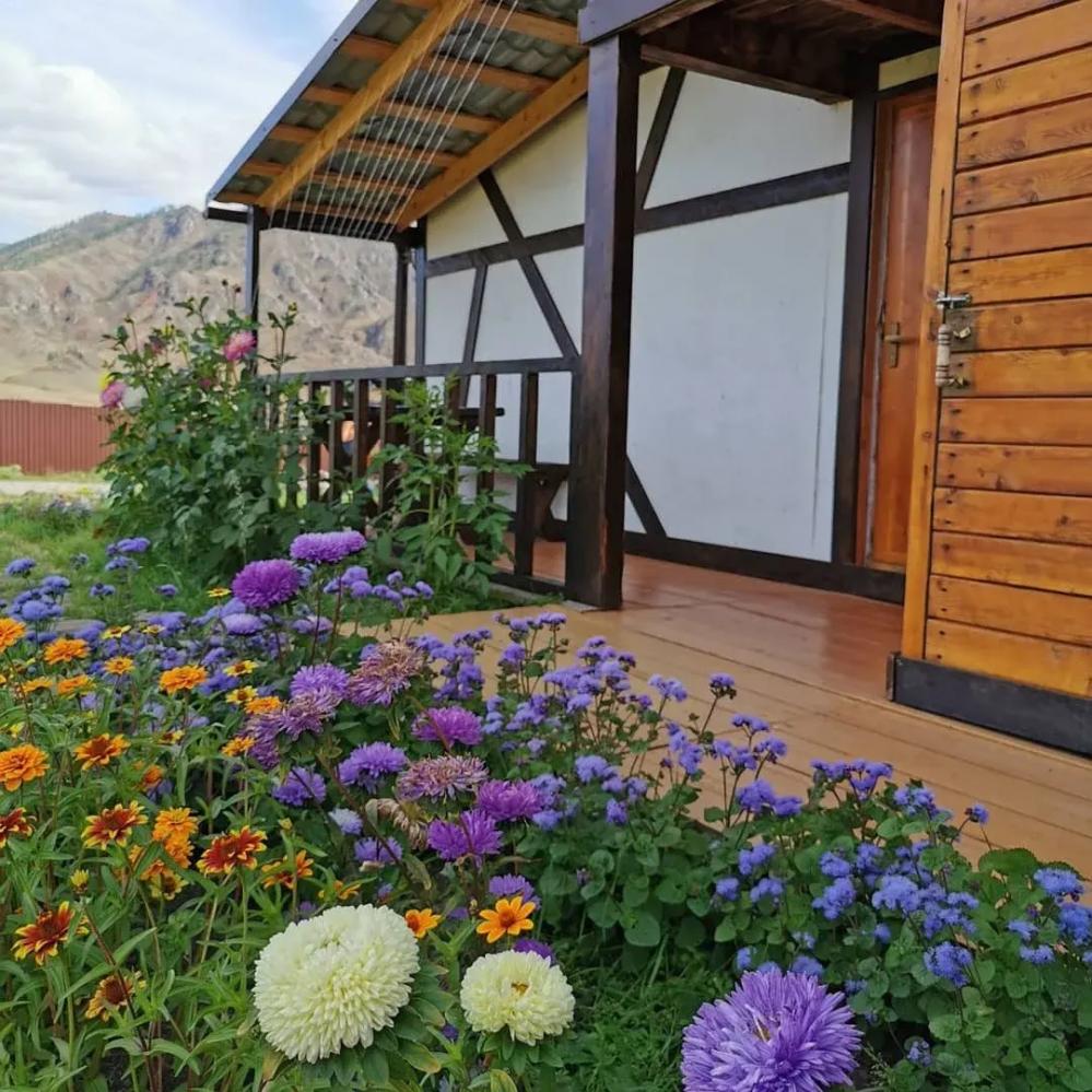 Снять дом недорого на Алтае в Онгудае