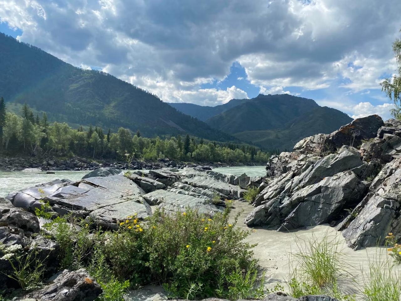 Ретрит туры на Алтай 2026 с инструктором