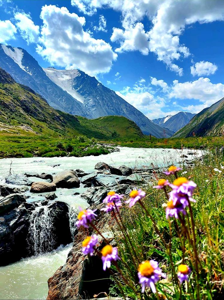 Altayvibe
