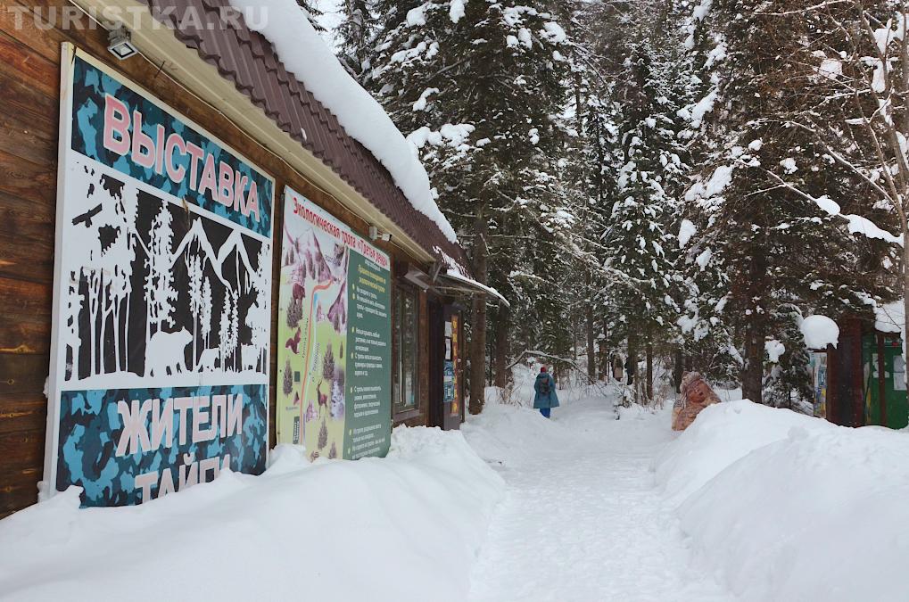 Эко-тропа Третья речка