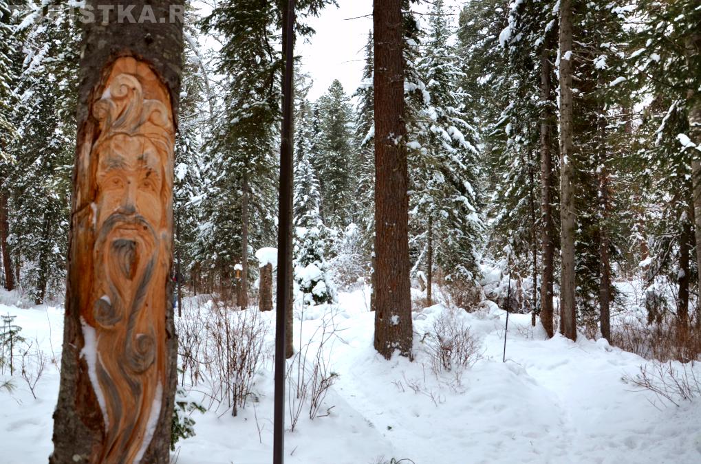 Эко-тропа Третья речка