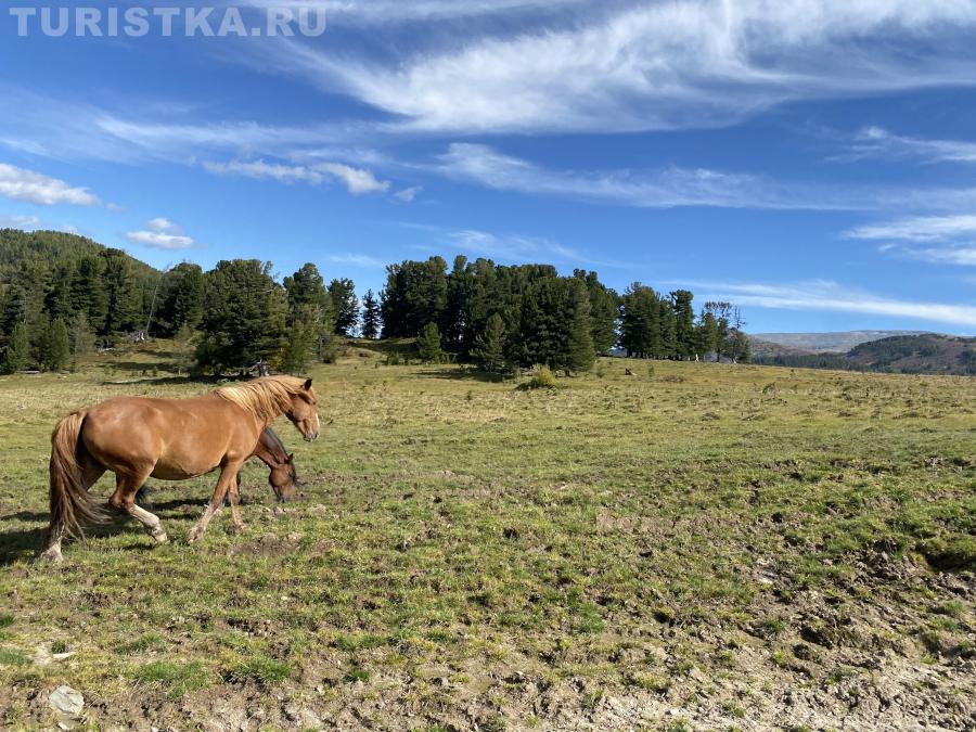 По пути к озеру Потайное