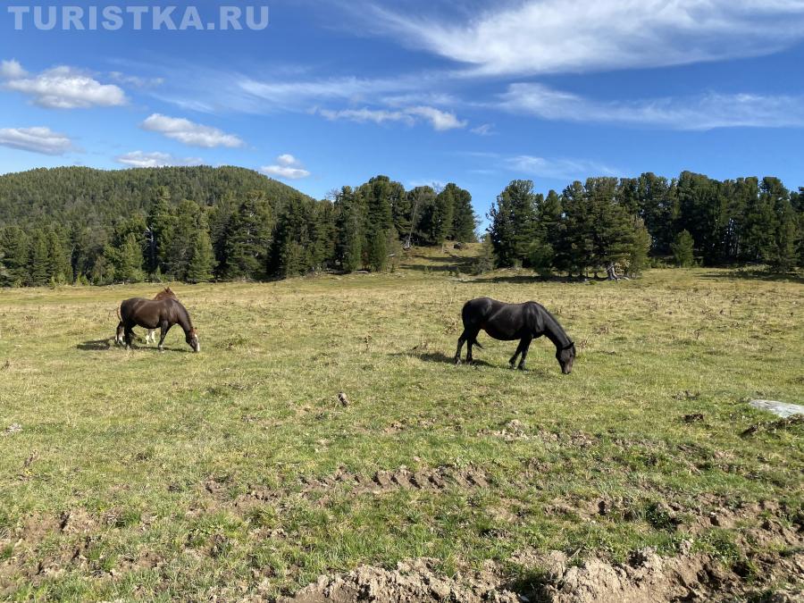 По пути к озеру Потайное