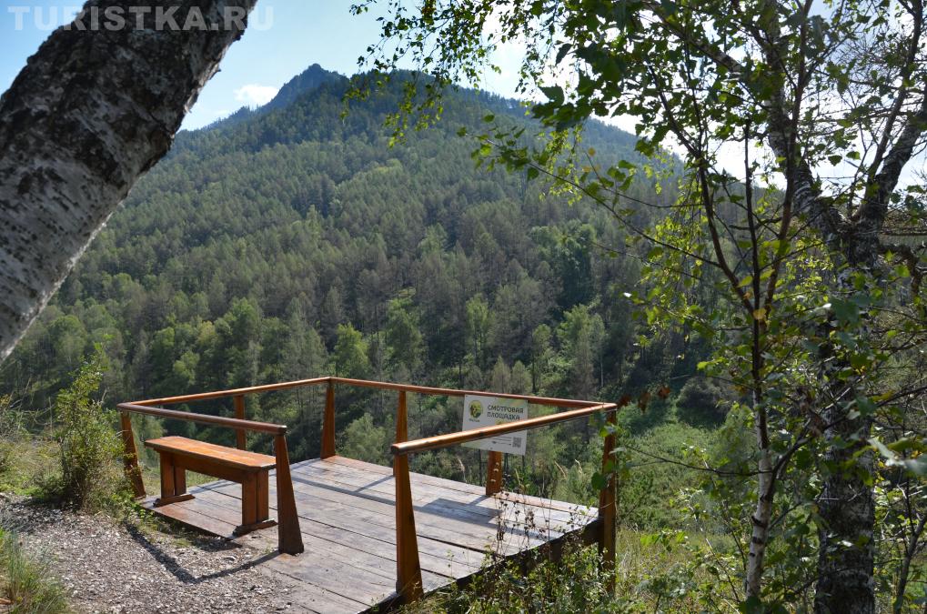 Смотровая площадка над рекой Ануй