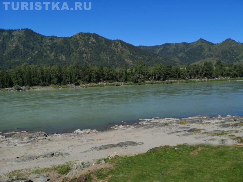 Река Катунь в 5 м от дома