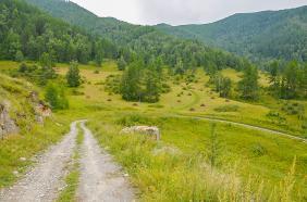 Отдых на Алтае : Старая дорога на перевал Чике-Таман : Начало старой дороги на Чике-Таман со стороны Топучия